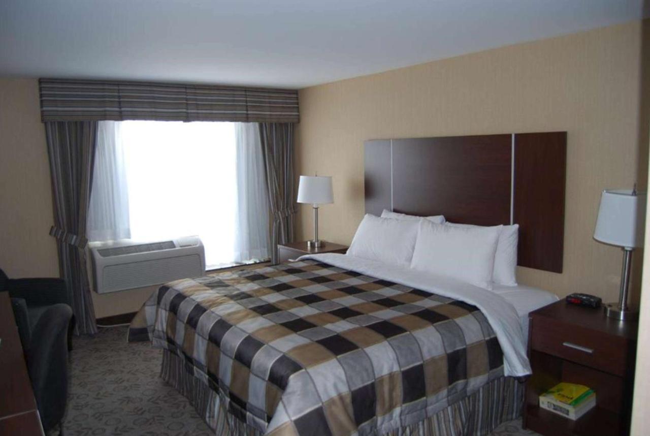 Days Inn By Wyndham Brampton Ngoại thất bức ảnh